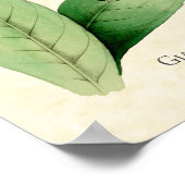 ジャイアントハミングバードアートプリント ポスター (角)