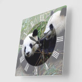 ジャイアントパンダが愛遊を行う/パンドラ スクエア壁時計 (傾斜)
