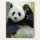 ジャイアントパンダが木にもたれて休む プランナー手帳 (裏面)