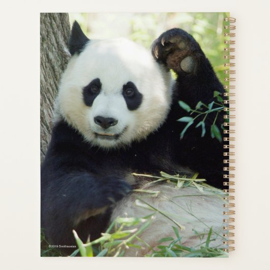 ジャイアントパンダが木にもたれて休む プランナー手帳 (裏面)