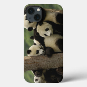 ジャイアントパンダのベビーのAiluropodaのmelanoleuca) 4 iPhone 13ケース