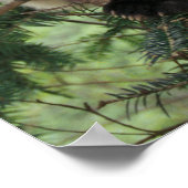 ジャイアントパンダの仔が臥龍の谷の木に登る。 ポスター (角)