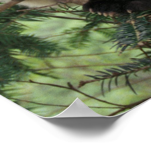 ジャイアントパンダの仔が臥龍の谷の木に登る。 ポスター (角)