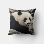 ジャイアントパンダの岩 クッション (裏面)