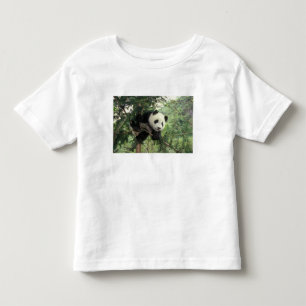 ジャイアントパンダの赤ちゃんが木に登る、臥龍谷、 トドラーTシャツ
