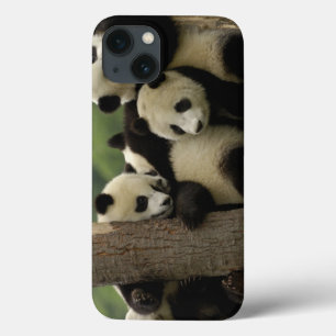 ジャイアントパンダの赤ちゃん アイロウロポダ・メラノレウカ) iPhone 13ケース