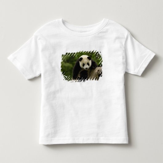ジャイアントパンダの赤ちゃん トドラーTシャツ (正面)