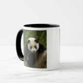 ジャイアントパンダの赤ちゃん マグカップ (正面左)