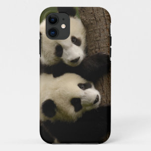 ジャイアントパンダの赤ちゃん (Ailuropoda melanoleuca) 2 iPhone 11 ケース