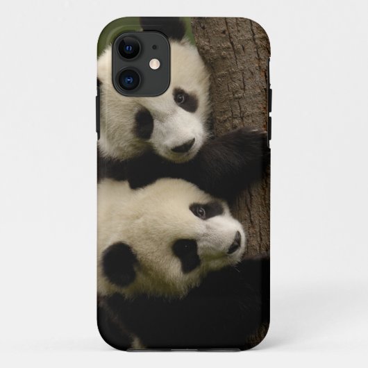 ジャイアントパンダの赤ちゃん (Ailuropoda melanoleuca) 2 Case-Mate iPhoneケース (裏面)