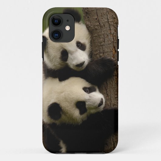 ジャイアントパンダの赤ちゃん (Ailuropoda melanoleuca) 2 Case-Mate iPhoneケース (裏面)
