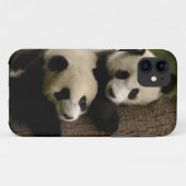 ジャイアントパンダの赤ちゃん (Ailuropoda melanoleuca) 2 Case-Mate iPhoneケース (裏面(横))