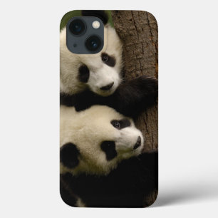 ジャイアントパンダの赤ちゃん (Ailuropoda melanoleuca) 2 iPhone 13ケース