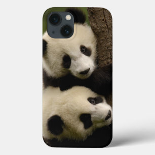 ジャイアントパンダの赤ちゃん (Ailuropoda melanoleuca) 2 iPhone 13ケース