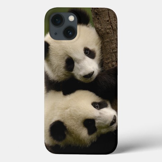 ジャイアントパンダの赤ちゃん (Ailuropoda melanoleuca) 2 Case-Mate iPhoneケース (裏面)