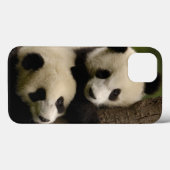 ジャイアントパンダの赤ちゃん (Ailuropoda melanoleuca) 2 Case-Mate iPhoneケース (裏面 (横))