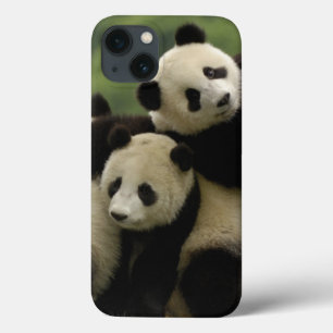 ジャイアントパンダの赤ちゃん (Ailuropoda melanoleuca) iPhone 13ケース