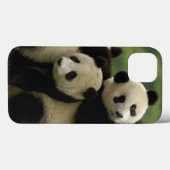 ジャイアントパンダの赤ちゃん (Ailuropoda melanoleuca) Case-Mate iPhoneケース (裏面 (横))