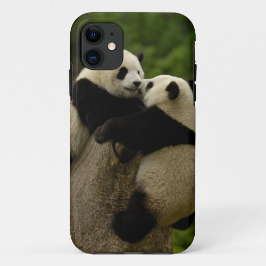 ジャイアントパンダの赤ちゃん (Ailuropoda melanoleuca) Case-Mate iPhoneケース (裏面)