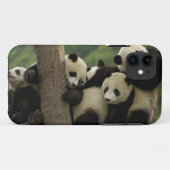 ジャイアントパンダの赤ちゃん (Ailuropoda melanoleuca) Case-Mate iPhoneケース (裏面(横))