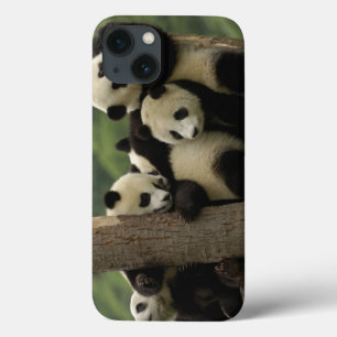ジャイアントパンダの赤ちゃん (Ailuropoda melanoleuca) iPhone 13ケース