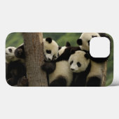 ジャイアントパンダの赤ちゃん (Ailuropoda melanoleuca) Case-Mate iPhoneケース (裏面 (横))