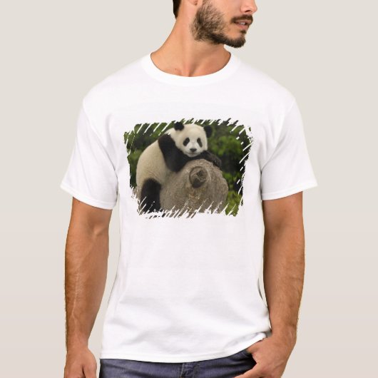 ジャイアントパンダの赤ちゃん Tシャツ (正面)