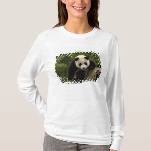 ジャイアントパンダの赤ちゃん Tシャツ (正面)