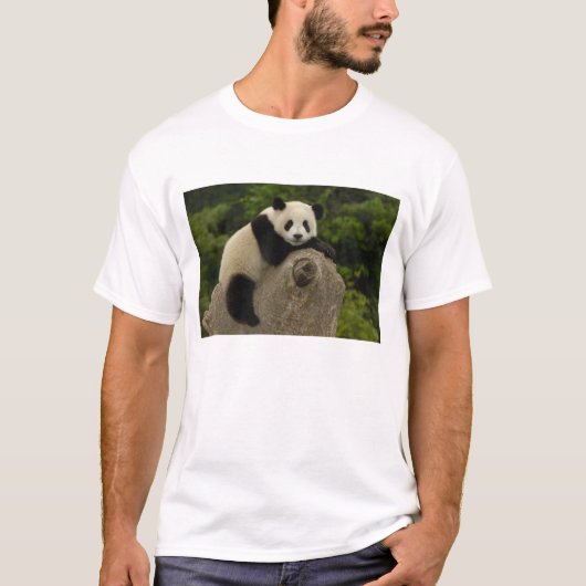 ジャイアントパンダの赤ちゃん Tシャツ (正面)
