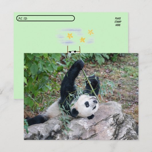 ジャイアントパンダの踏切の写真 ポストカード (正面/裏面)