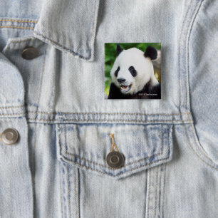 ジャイアントパンダの食べ物のタケ 缶バッジ