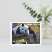 ジャイアントパンダは種に弱い シーズンポストカード (スタンド正面)
