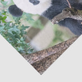 ジャイアントパンダティッシュペーパー/デクページ紙 薄葉紙 (詳細)