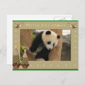 ジャイアントパンダベア&ベビーパンダクリスマスカード シーズンポストカード (正面/裏面)