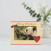 ジャイアントパンダベア&ベビーパンダクリスマスカード シーズンポストカード (スタンド正面)