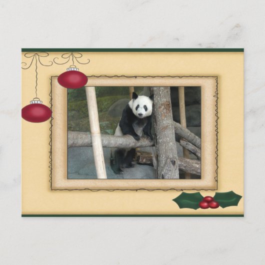 ジャイアントパンダベア&ベビーパンダクリスマスカード シーズンポストカード (正面)