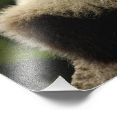 ジャイアントパンダベビーアイロポダメラノロイカ) フォトプリント            (角)