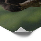 ジャイアントパンダベビーアイロポダメラノロイカ) 4 ポスター (角)