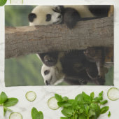 ジャイアントパンダベビーイリノポダメラノロイカ) キッチンタオル (折り畳み)