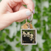 ジャイアントパンダベビーイリノポダメラノロイカ) キーホルダー (手)