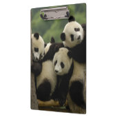 ジャイアントパンダベビーイリノポダメラノロイカ) クリップボード (左)