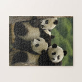 ジャイアントパンダベビーイリノポダメラノロイカ) ジグソーパズル (横)
