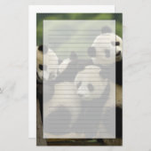 ジャイアントパンダベビーイリノポダメラノロイカ) 便箋 (正面/裏面)