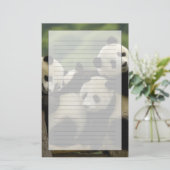 ジャイアントパンダベビーイリノポダメラノロイカ) 便箋 (スタンド正面)