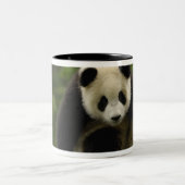 ジャイアントパンダベビー ツートーンマグカップ (中央)