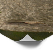 ジャイアントパンダベビー ポスター (角)