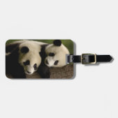 ジャイアントパンダベビー(Ailuropoda melanoleuca) 2 ラゲッジタグ (正面横)
