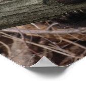 ジャイアントパンダリラックスズ&ハギングツリーブランチ ポスター (角)