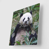 ジャイアントパンダ保が笑顔、中国動物 スクエア壁時計 (傾斜)