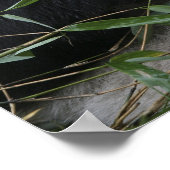 ジャイアントパンダ保護区のジャイアントパンダ ポスター (角)